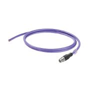 IE-C6GB8BV0100XCSXXX-X